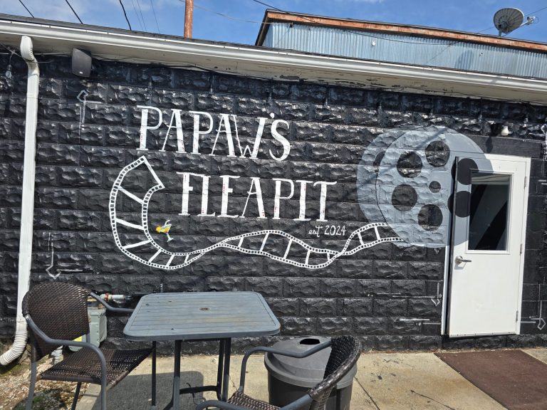 Patio Entrance Papaw's Fleapit patio entrance